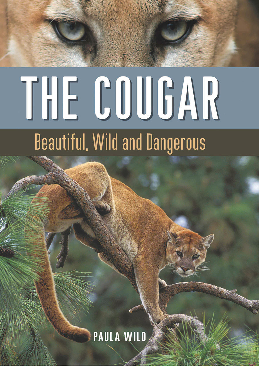 The Cougar Beautiful, Wild and Dangerous – Douglas McIntyre