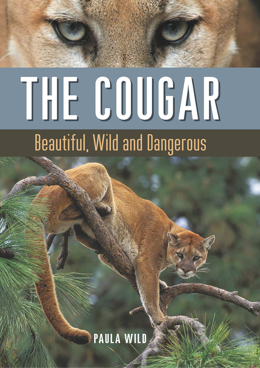 The Cougar : Beautiful, Wild and Dangerous
